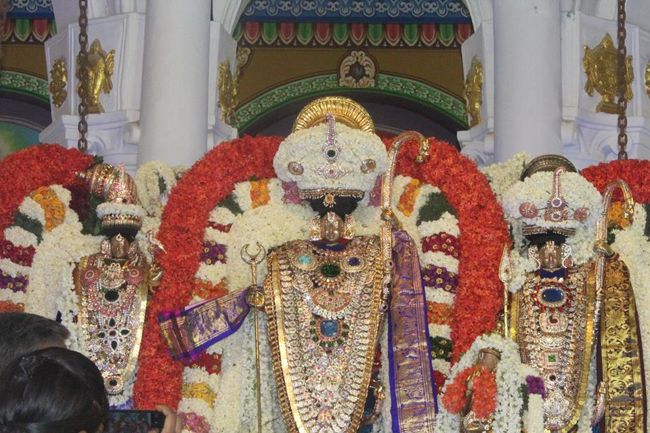 Pondicherry-Sri-Varadaraja-Perumal5