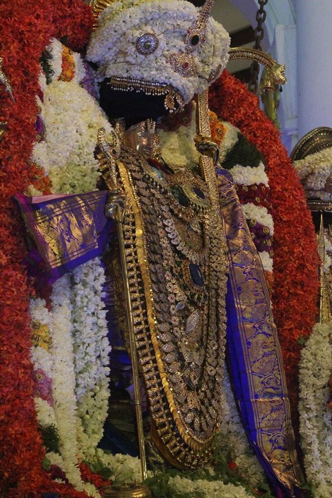 Pondicherry-Sri-Varadaraja-Perumal8