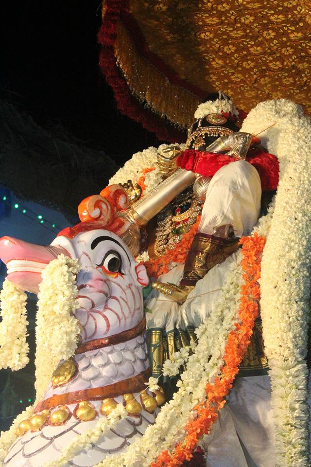 Pondicherry-Sri-Varadaraja-Perumal9