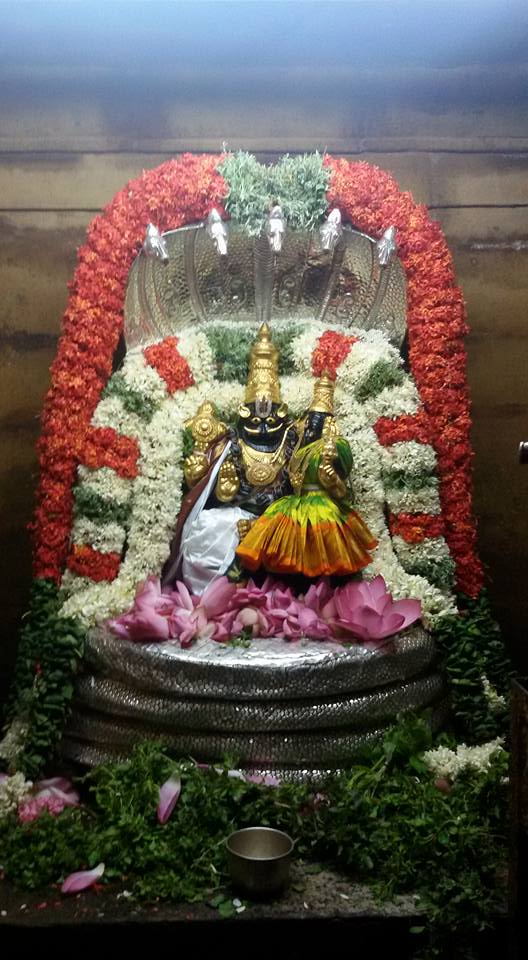 Poovarasankuppam-Sri-Lakshmi-Narasimha-Perumal10