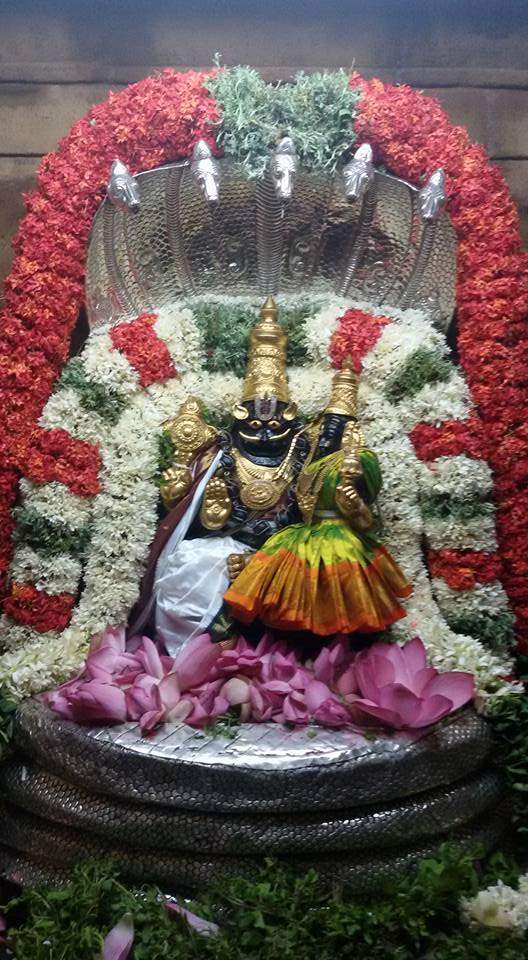 Poovarasankuppam-Sri-Lakshmi-Narasimha-Perumal9