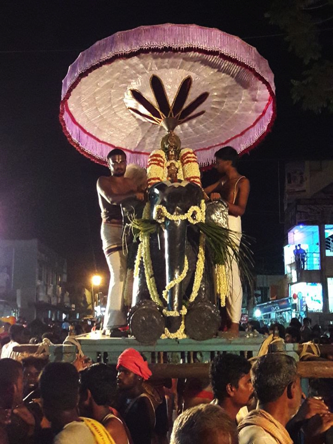 Sriperumbudur_Ramanuja_Thirunakshathiram_Day8_Evening_09