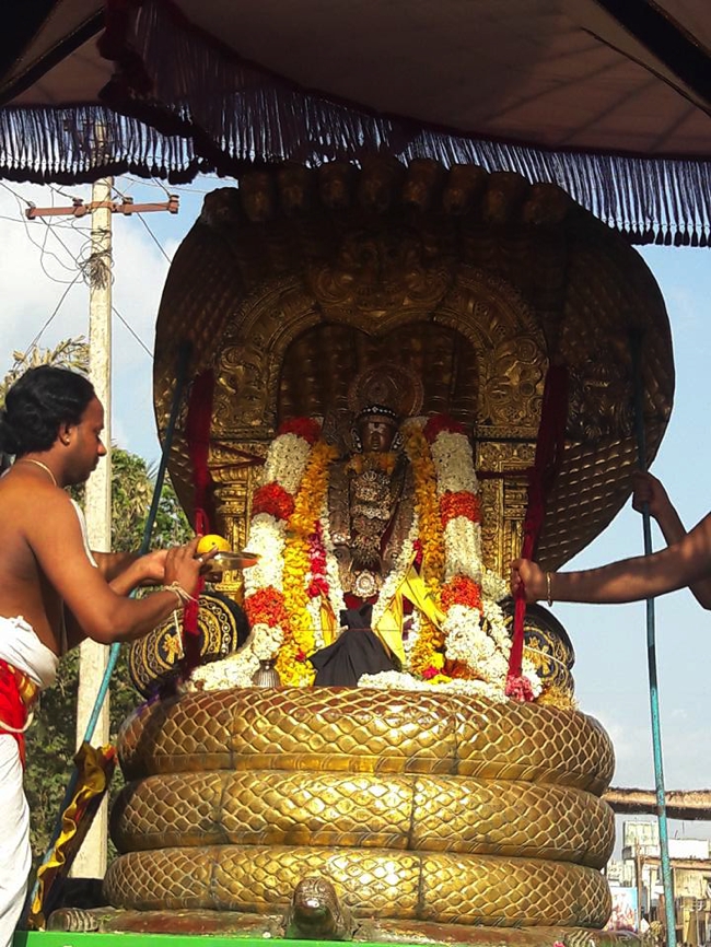 Sriperumbudur_Ramanuja_Thirunakshathiram_Day8_Morning_06