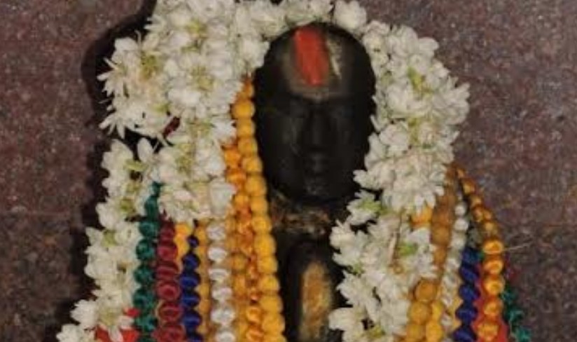 Srirangam-Braindavanam-Thillaisthanam-Swami-Varusha-Aradhanam24