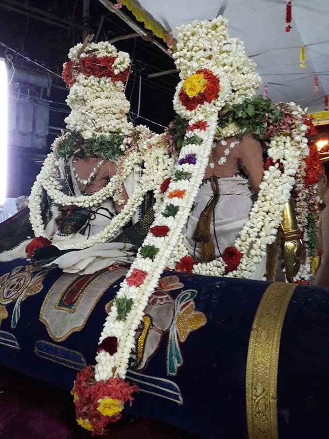 Srivilliputhur-Sri-Vadapathrasayanar3