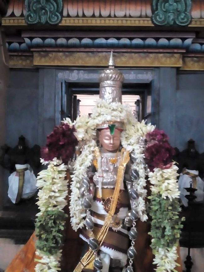 Thillaisthanam-Sri-Srinivasa-Perumal2