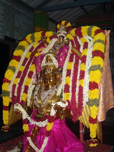 Thirukannamangai-Sri-Bhakthavatsala-Perumal17