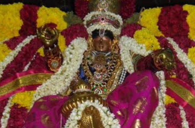 Thirukannamangai-Sri-Bhakthavatsala-Perumal18