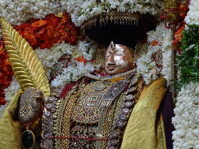 Thiruvahindrapuram-Sri-Devanathan-Perumal11