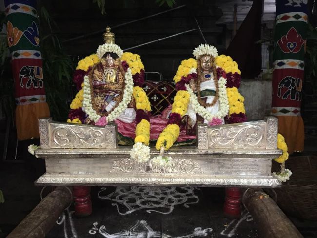 Thiruvahindrapuram-Sri-Devanathan-Perumal12