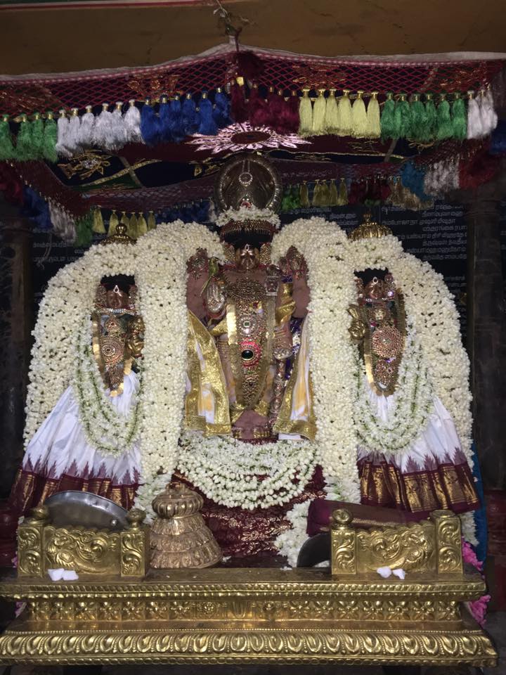 Thiruvahindrapuram-Sri Devanathan-Perumal1