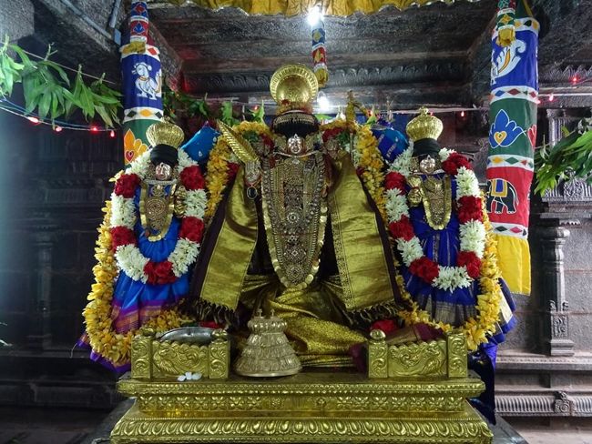 Thiruvahindrapuram-Sri-Devanathan-Perumal14
