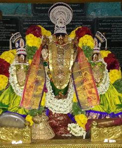 Thiruvahindrapuram-Sri-Devanathan-Perumal2