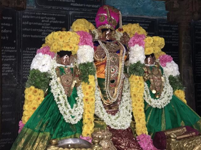 Thiruvahindrapuram-Sri-Devanathan-Perumal3