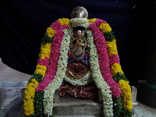 Thiruvahindrapuram-Sri-Devanathan-Perumal4