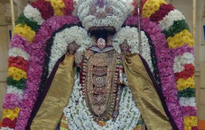 Thiruvahindrapuram-Sri-Devanathan-Perumal5