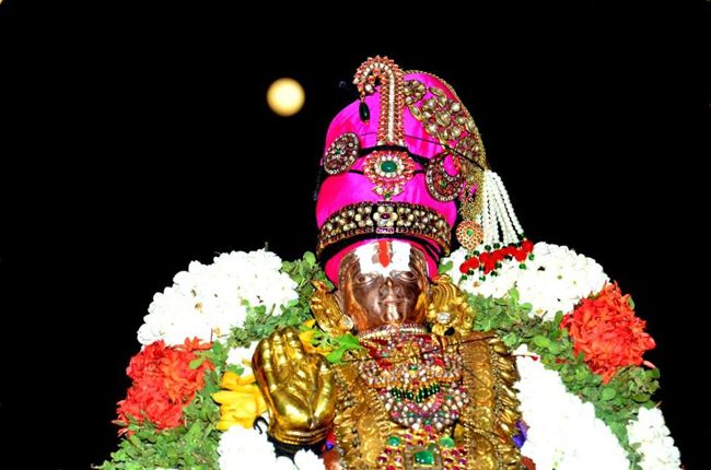 Thiruvallikeni-Sri-Parthasarathy-Swami