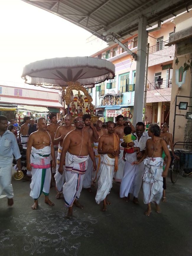 Thiruvallikeni-Sri-Parthasarathy-Swami11