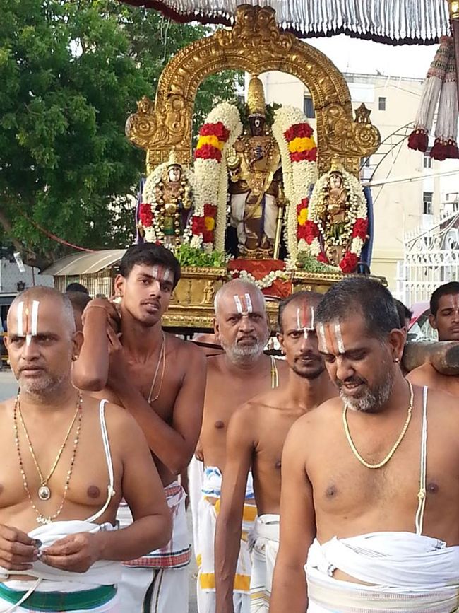 Thiruvallikeni-Sri-Parthasarathy-Swami13