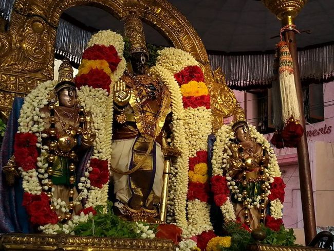 Thiruvallikeni-Sri-Parthasarathy-Swami14