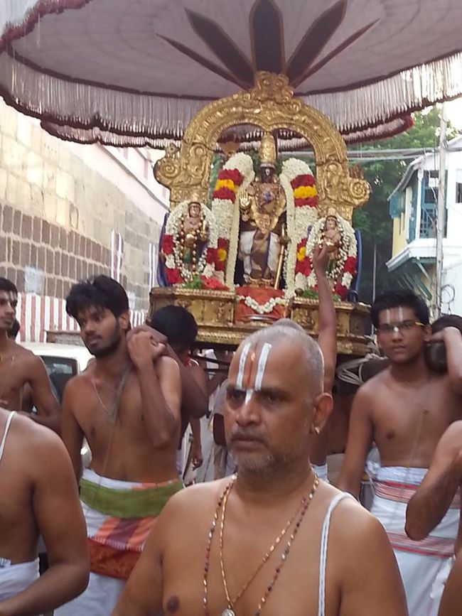 Thiruvallikeni-Sri-Parthasarathy-Swami15