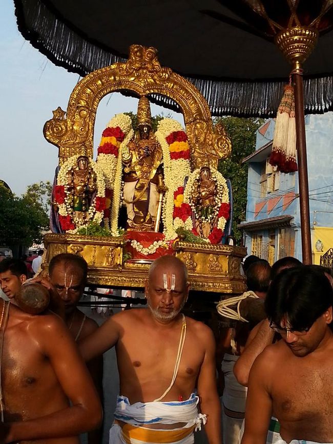 Thiruvallikeni-Sri-Parthasarathy-Swami19