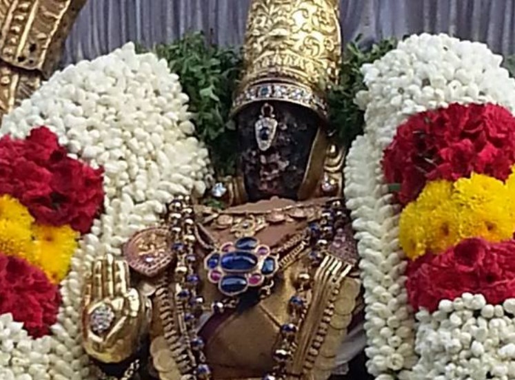 Thiruvallikeni-Sri-Parthasarathy-Swami21