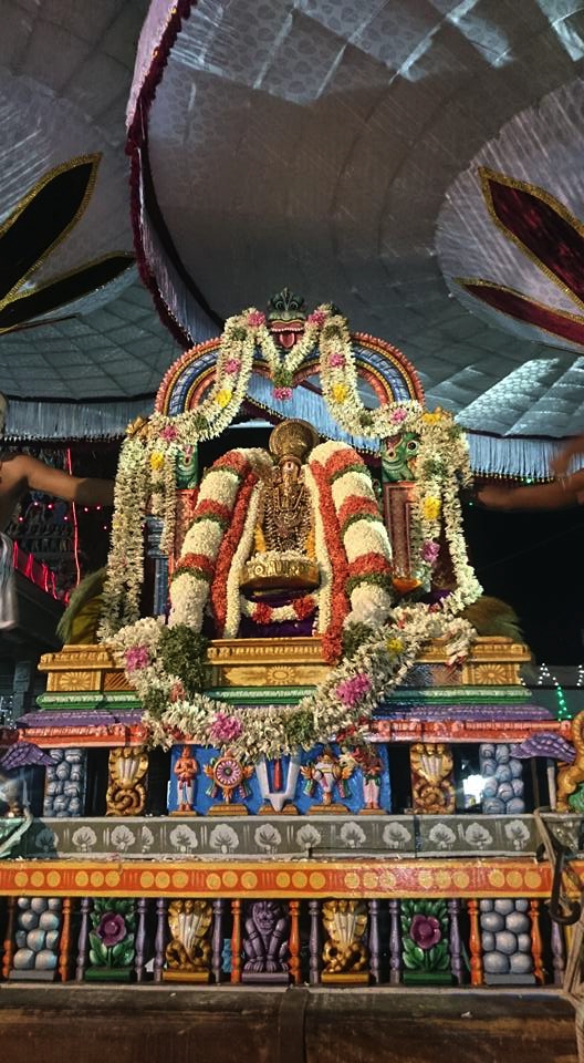 Thiruvallikeni_Sri_Parthasarathy_Temple_Ramanuja_Jayanthi_00