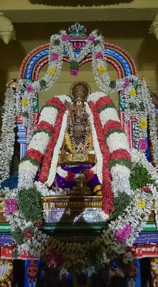 Thiruvallikeni_Sri_Parthasarathy_Temple_Ramanuja_Jayanthi_02
