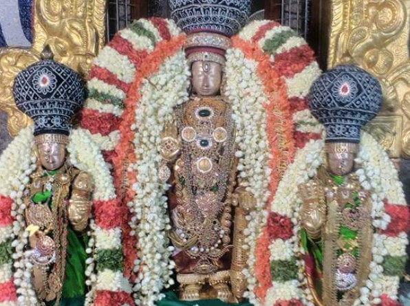 Thiruvallur-Sri-Veeraraghava-Perumal4