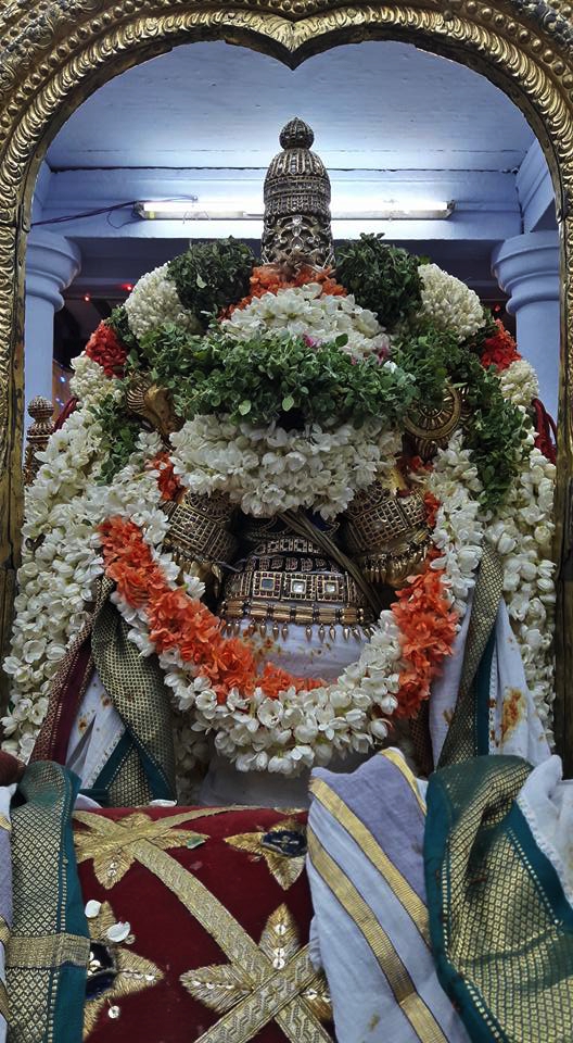 Thiruvallur_Sri Veeraraghava_Perumal_Vasnthotsavam_Day1_00