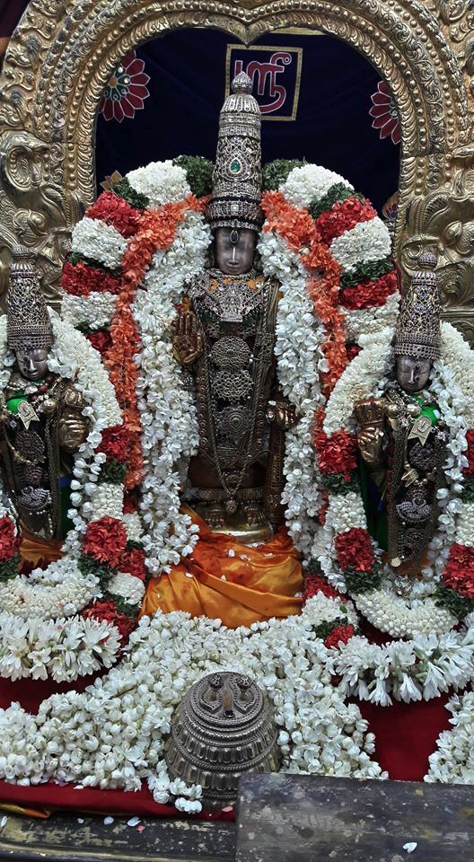 Thiruvallur_Sri Veeraraghava_Perumal_Vasnthotsavam_Day1_01