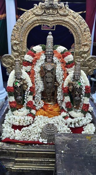 Thiruvallur_Sri Veeraraghava_Perumal_Vasnthotsavam_Day1_02