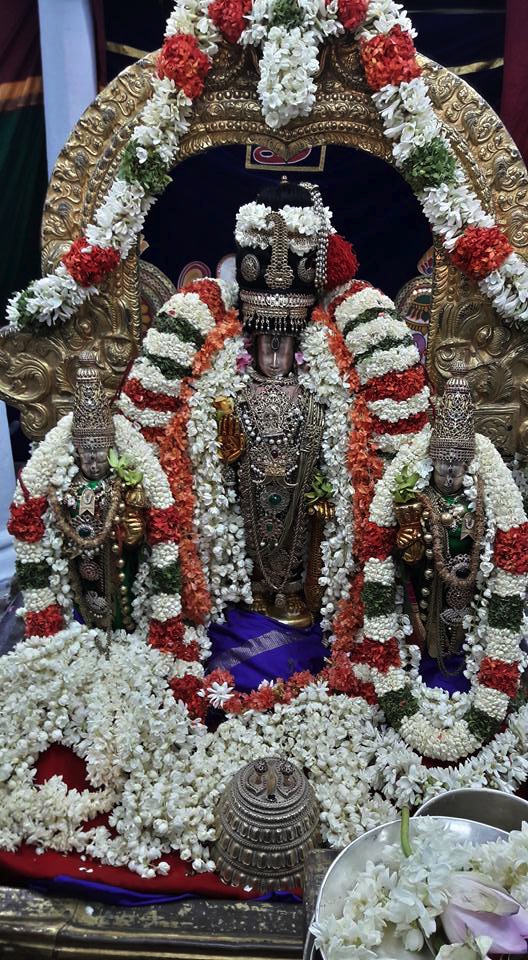 Thiruvallur_Sri Veeraraghava_Perumal_Vasnthotsavam_Day2_00