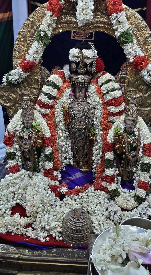 Thiruvallur_Sri Veeraraghava_Perumal_Vasnthotsavam_Day2_01