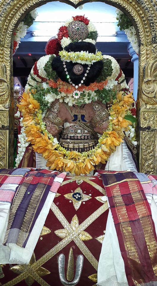 Thiruvallur_Sri Veeraraghava_Perumal_Vasnthotsavam_Day2_02