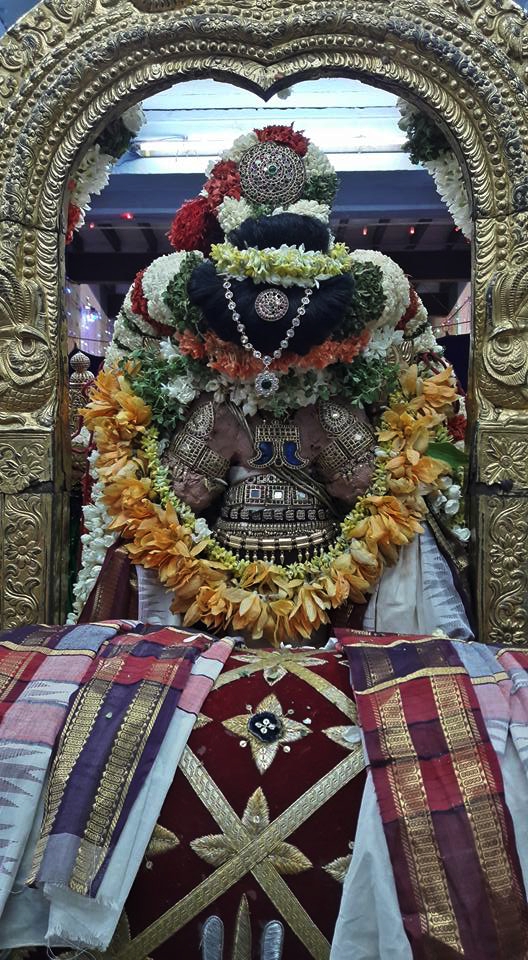 Thiruvallur_Sri Veeraraghava_Perumal_Vasnthotsavam_Day2_03