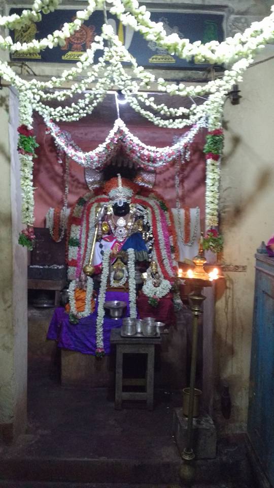 Vaduvur-Nrusimha-Jayanthi1