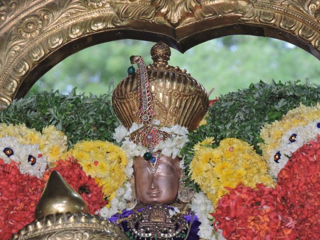 srimushnam udhaya garudasevai as on 9th may 16 (12)