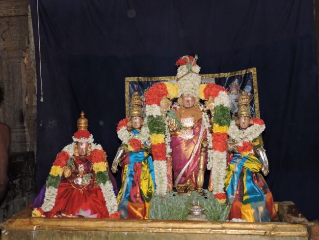 srimushnam udhaya garudasevai as on 9th may 16 (121)