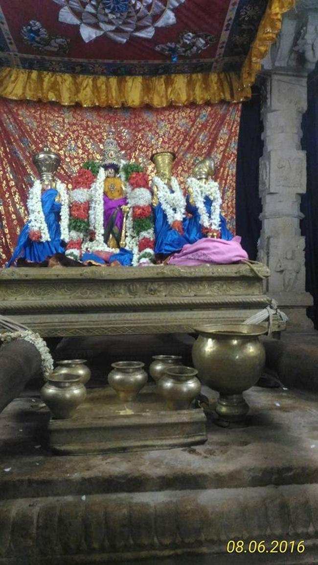Alwar-Thirunagari-Sri-Aadhinatha-Swami2