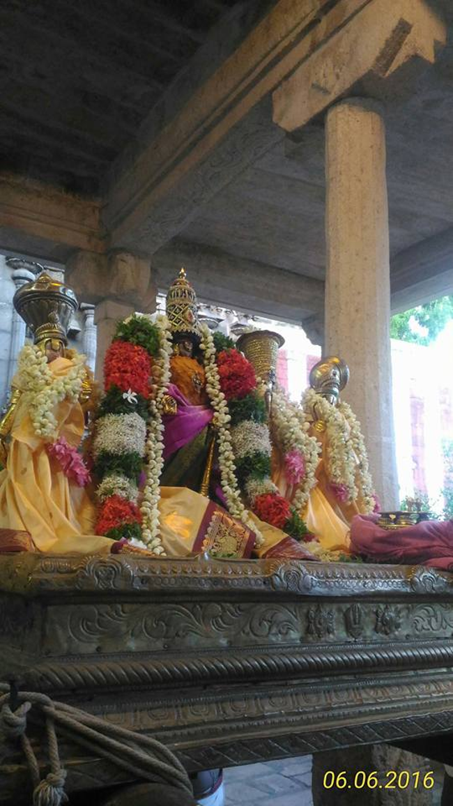 Alwar-Thirunagari-Sri-Aadhinatha-Swami6