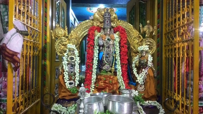 Arumbakkam-Sri-Satya-Varadaraja-Perumal_13