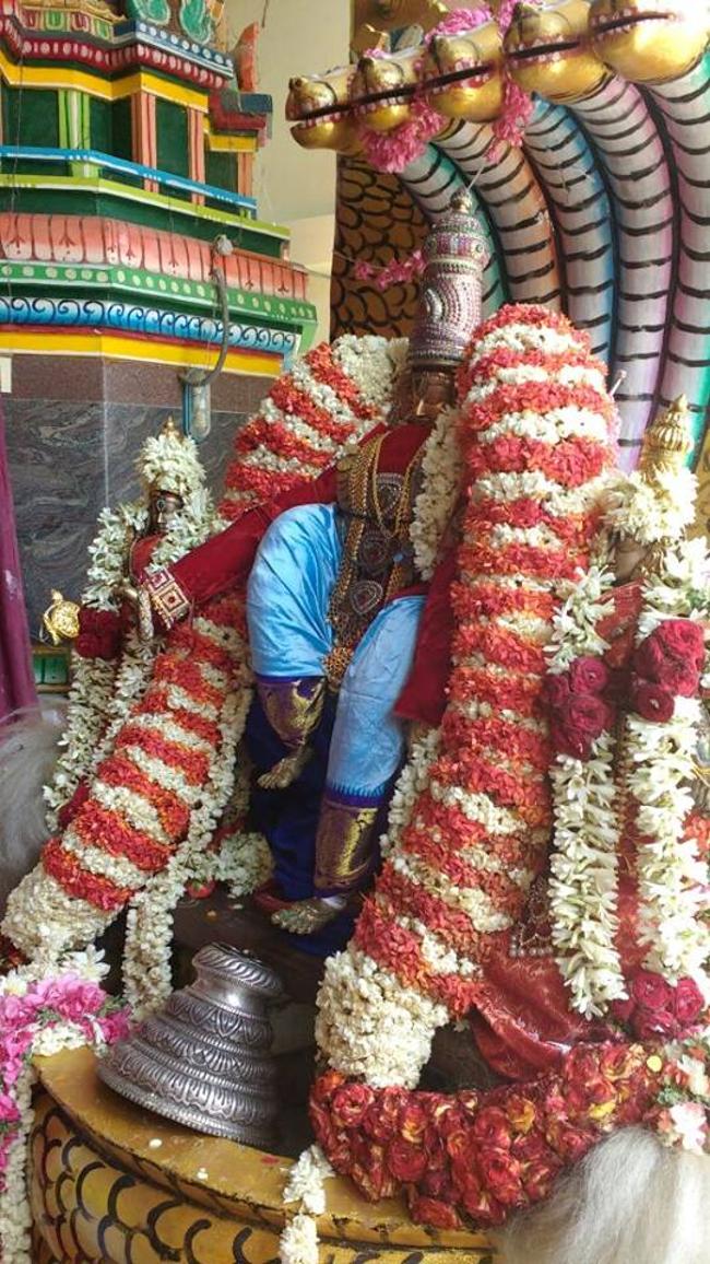 Arumbakkam-Sri-SatyaVaradaraja-Perumal10