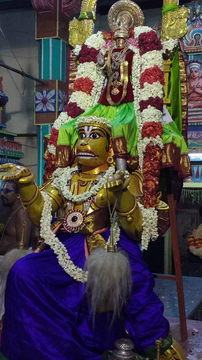 Arumbakkam-Sri-SatyaVaradaraja-Perumal14