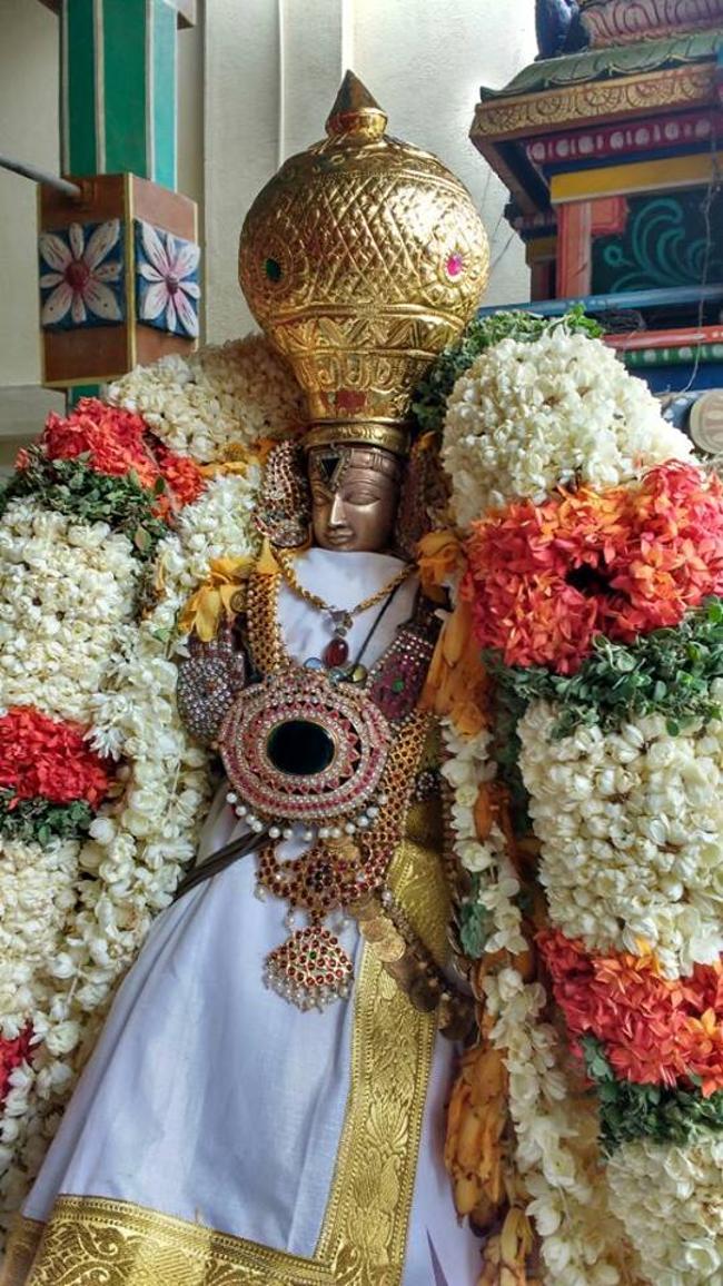 Arumbakkam-Sri-Satyavaradaraja-Perumal12