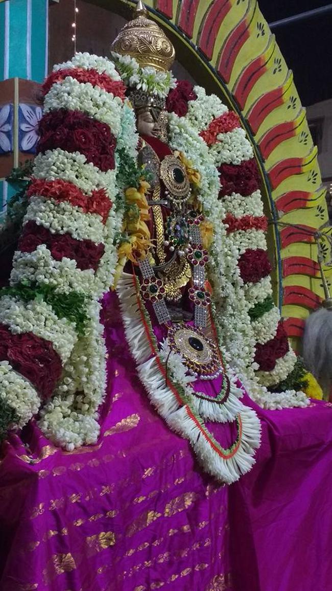 Arumbakkam-Sri-Satyavaradaraja-Perumal15