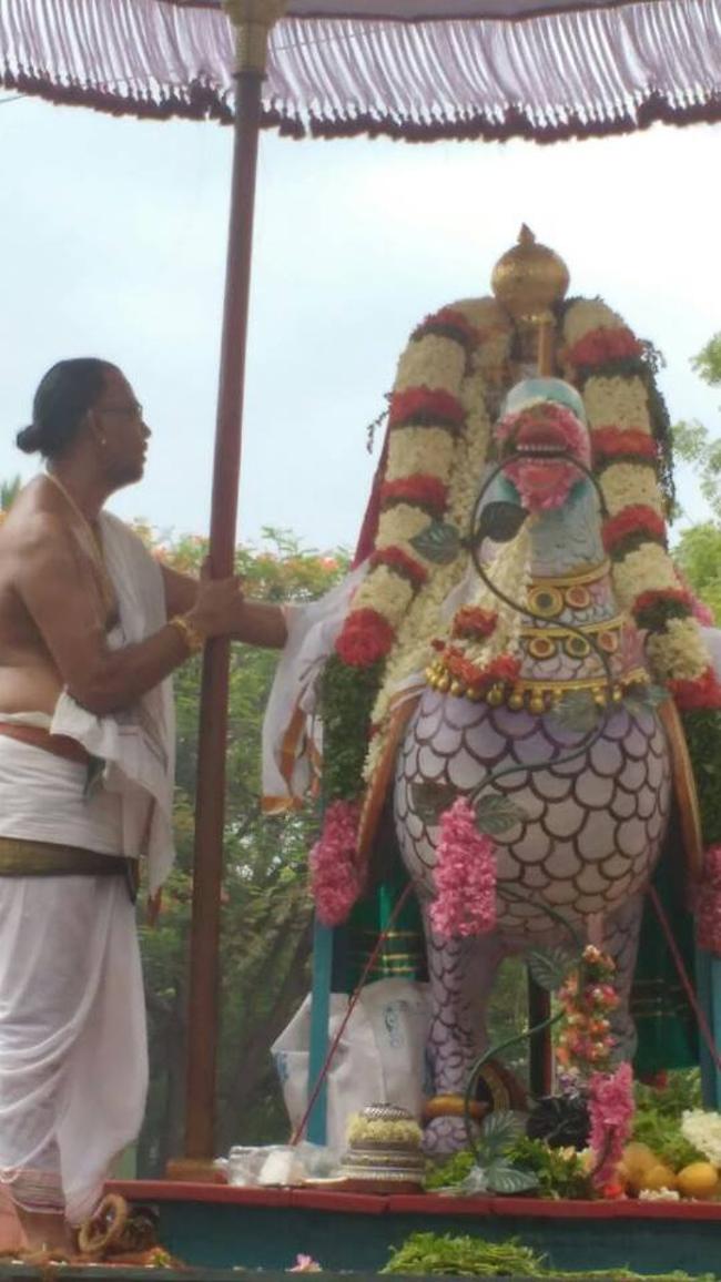Arumbakkam-Sri-Satyavaradaraja-Perumal5