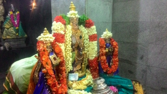 Arumbakkam-Sri Satyavaradaraja-Perumal8