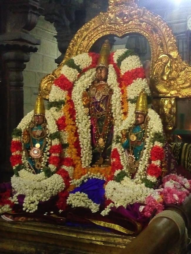 Kanchi-Sri-Varadaraja-Perumal_11